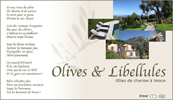 Olives & Libellules